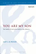 Te vagy az én fiam - You Are My Son