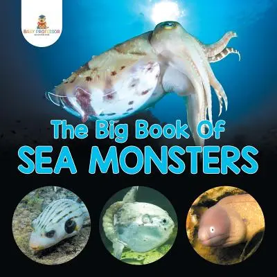 A tengeri szörnyek nagy könyve (Ijesztő kinézetű tengeri állatok) - The Big Book Of Sea Monsters (Scary Looking Sea Animals)