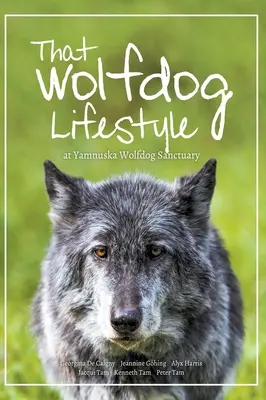 A farkaskutya életmód: a Yamnuska Farkaskutya Menedékhelyen - That Wolfdog Lifestyle: at Yamnuska Wolfdog Sanctuary