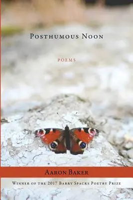 Posztumusz Noon - Posthumous Noon