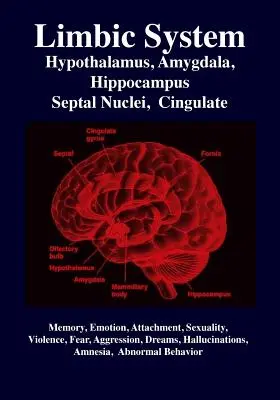 Limbikus rendszer: Amygdala, Hypothalamus, szeptális magok, Cingulus, Hippocampus: Érzelmek, emlékezet, nyelv, fejlődés, evolúció, szerelem. - Limbic System: Amygdala, Hypothalamus, Septal Nuclei, Cingulate, Hippocampus: Emotion, Memory, Language, Development, Evolution, Love