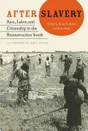 A rabszolgaság után: Race, Labor, and Citizenship in the Reconstruction South (Faj, munka és állampolgárság a déli újjáépítésben) - After Slavery: Race, Labor, and Citizenship in the Reconstruction South