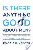 Van-e valami jó a férfiakban?: Hogyan virágoznak a kultúrák a férfiak kizsákmányolásával? - Is There Anything Good about Men?: How Cultures Flourish by Exploiting Men