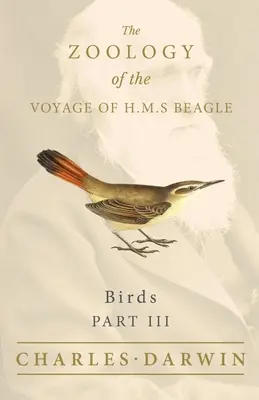 Madarak - III. rész - A H.M.S. Beagle útjának zoológiája - Birds - Part III - The Zoology of the Voyage of H.M.S Beagle