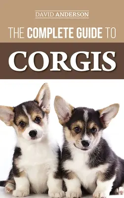 A Corgik teljes útmutatója: Minden, amit a pembroke welsh és a cardigan welsh corgi kutyafajtákról tudni kell - The Complete Guide to Corgis: Everything to Know About Both the Pembroke Welsh and Cardigan Welsh Corgi Dog Breeds