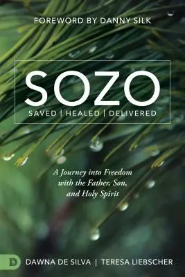 Sozo Megmentve Meggyógyulva Megszabadulva: Utazás a szabadságba az Atyával, a Fiúval és a Szentlélekkel - Sozo Saved Healed Delivered: A Journey Into Freedom with the Father, Son, and Holy Spirit