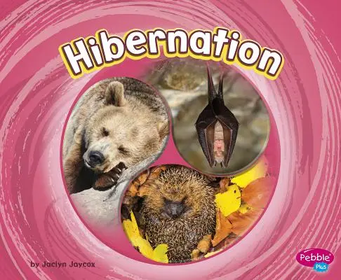 Hibernáció - Hibernation