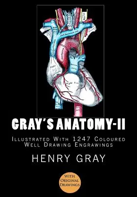 Gray anatómiája: [Illusztrálva 1247 színes fametszettel] - Gray's Anatomy: [Illustrated With 1247 Coloured Well Drawing Engrawings]