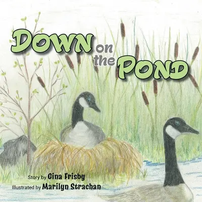Lent a tó partján - Down on the Pond