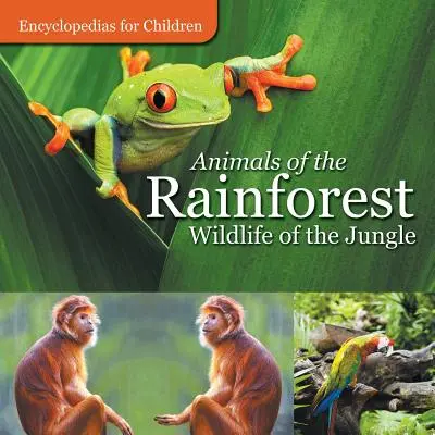 Az esőerdő állatai - A dzsungel élővilága - Enciklopédiák gyerekeknek - Animals of the Rainforest - Wildlife of the Jungle - Encyclopedias for Children