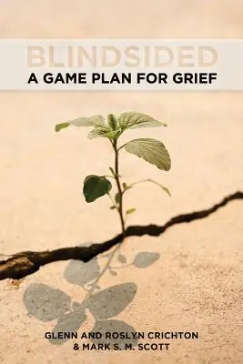 Vakvágányra terelve: A gyász játékterve - Blindsided: A Game Plan for Grief