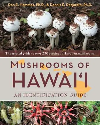 Hawaii gombái: Gombák: Azonosítási útmutató - Mushrooms of Hawai'i: An Identification Guide