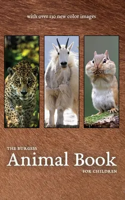 A Burgess Állatos könyv új színes képekkel - The Burgess Animal Book with new color images