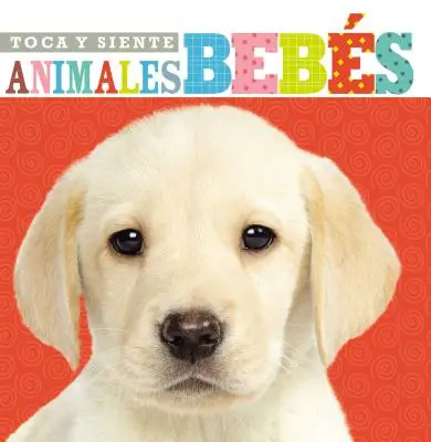 Toca Y Siente Animales Bebs