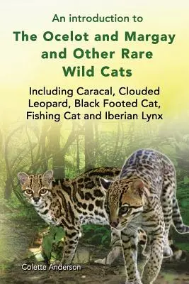 Bevezetés az ocelot és a margay és más ritka vadmacskák, köztük a karakál, a felhőleopárd, a fekete lábú macska, a halászmacska és az ibériai hiúz bemutatása - An introduction to The Ocelot and Margay and Other Rare Wild Cats Including Caracal, Clouded Leopard, Black Footed Cat, Fishing Cat and Iberian Lynx