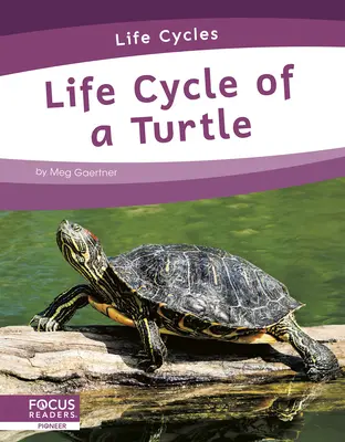 A teknős életciklusa - Life Cycle of a Turtle