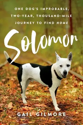 Salamon: Egy kutya valószínűtlen, kétéves, ezer mérföldes útja, hogy hazataláljon. - Solomon: One Dog's Improbable, Two-year, Thousand-mile Journey to Find Home