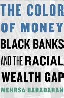 A pénz színe: Fekete bankok és a faji vagyonkülönbség - The Color of Money: Black Banks and the Racial Wealth Gap