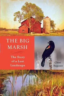 The Big Marsh: Egy elveszett táj története - The Big Marsh: The Story of a Lost Landscape