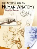 A művész kézikönyve az emberi anatómiához - The Artist's Guide to Human Anatomy