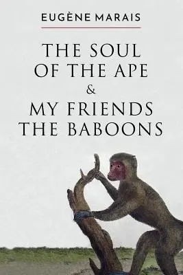 A majom lelke és barátaim, a páviánok - The Soul of the Ape & My Friends the Baboons