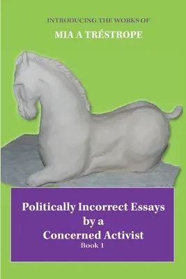 Politically Incorrect Essays by a Concerned Activist: Könyv 1. - Politically Incorrect Essays by a Concerned Activist: Book 1