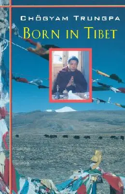 Tibetben született - Born In Tibet