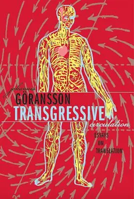 Transzgresszív körforgás - Transgressive Circulation