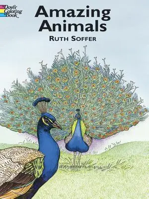 Amazing Animals Coloring Book