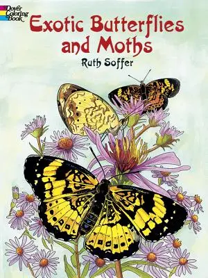 Egzotikus pillangók és lepkék színezőkönyv - Exotic Butterflies and Moths Coloring Book