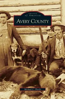 Avery megye - Avery County