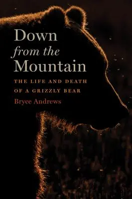 Le a hegyről - Egy grizzlymedve élete és halála - Down from the Mountain - The Life and Death of a Grizzly Bear