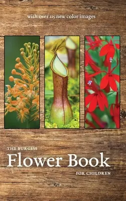 The Burgess Flower Book új színes képekkel - The Burgess Flower Book with new color images