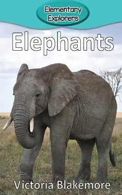 Elefántok - Elephants