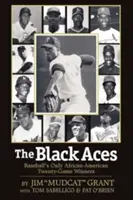 The Black Aces: A baseball egyetlen afroamerikai húszmeccses győztesei - The Black Aces: Baseball's Only African-American Twenty-Game Winners