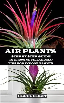 Légnövény: Tillandsia termesztésének lépésről lépésre történő útmutatója + tippek szobanövényekhez - Air Plant: Step by Step Guide to Growing Tillandsia + Tips for Indoor Plants