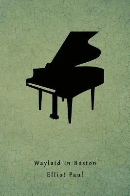 Waylaid in Boston: (egy Homer Evans-rejtély) - Waylaid in Boston: (a Homer Evans Mystery)