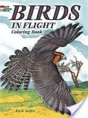 Madarak repülés közben Színezőkönyv - Birds in Flight Coloring Book