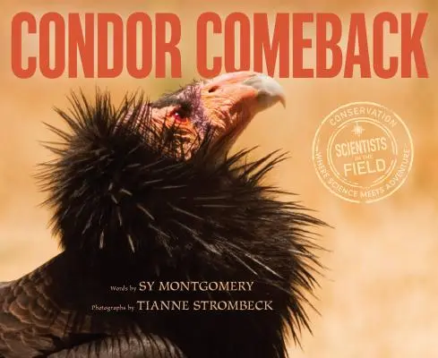 Kondor visszatérés - Condor Comeback