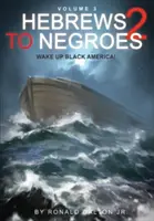 Héberek a négerekhez 2. kötet 3. kötet: Ébredj fel, fekete Amerika! - Hebrews to Negroes 2 Volume 3: Wake Up Black America