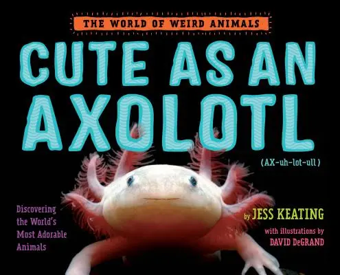 Aranyos, mint egy axolotl: A világ legimádnivalóbb állatainak felfedezése - Cute as an Axolotl: Discovering the World's Most Adorable Animals