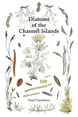 A Csatorna-szigetek diatómái - Diatoms of the Channel Islands