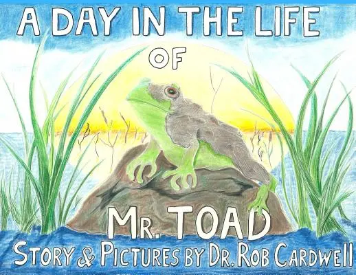 Egy nap Varangy úr életében - A Day in the Life of Mr. Toad