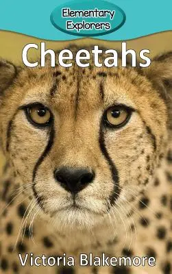Gepárdok - Cheetahs