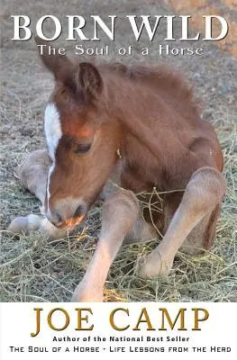 Born Wild - A ló lelke - Born Wild - The Soul of a Horse