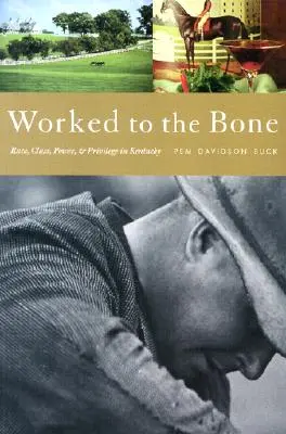 Csontig megdolgoztatva: A faj, az osztály, a hatalom és a kiváltságok története Kentuckyban - Worked to the Bone: A History of Race, Class, Power, and Privilege in Kentucky