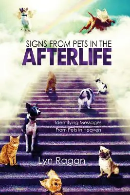 Jelek a háziállatoktól a túlvilágon: A mennyei háziállatoktól érkező üzenetek azonosítása - Signs From Pets In The Afterlife: Identifying Messages From Pets In Heaven