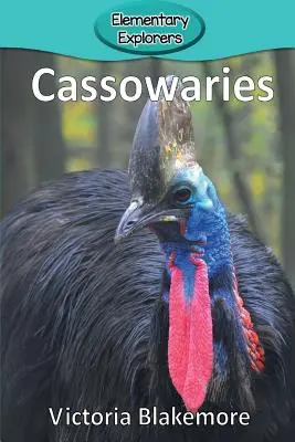 Cassowary - Cassowaries