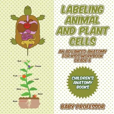 Állati és növényi sejtek címkézése - Haladó anatómia gyerekeknek munkafüzet 6. osztály - Anatómia könyvek gyerekeknek - Labeling Animal and Plant Cells - An Advanced Anatomy for Kids Workbook Grade 6 - Children's Anatomy Books