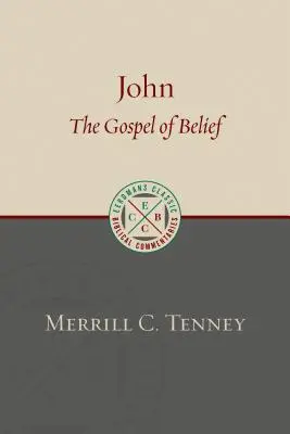 János: A hit evangéliuma: A szöveg elemző tanulmánya - John: The Gospel of Belief: An Analytic Study of the Text